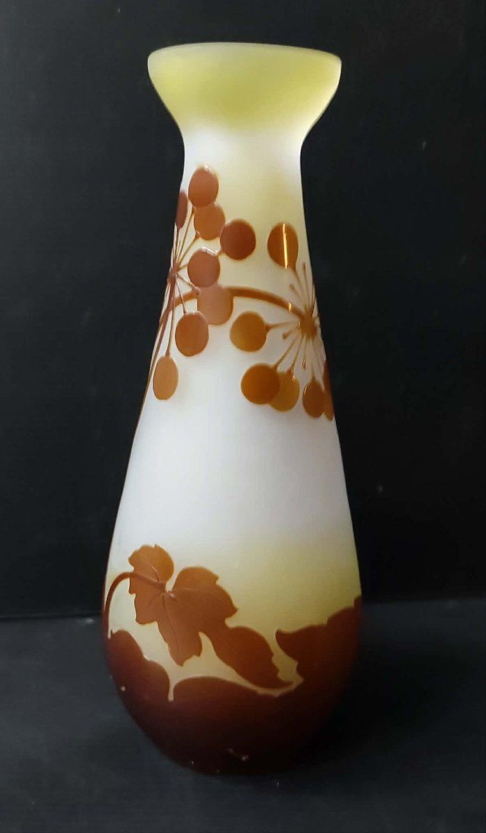 Galle Vase In Acid-etched Pate De Verre With Ombelle Decoration Art Nouveau Period 1900-photo-4