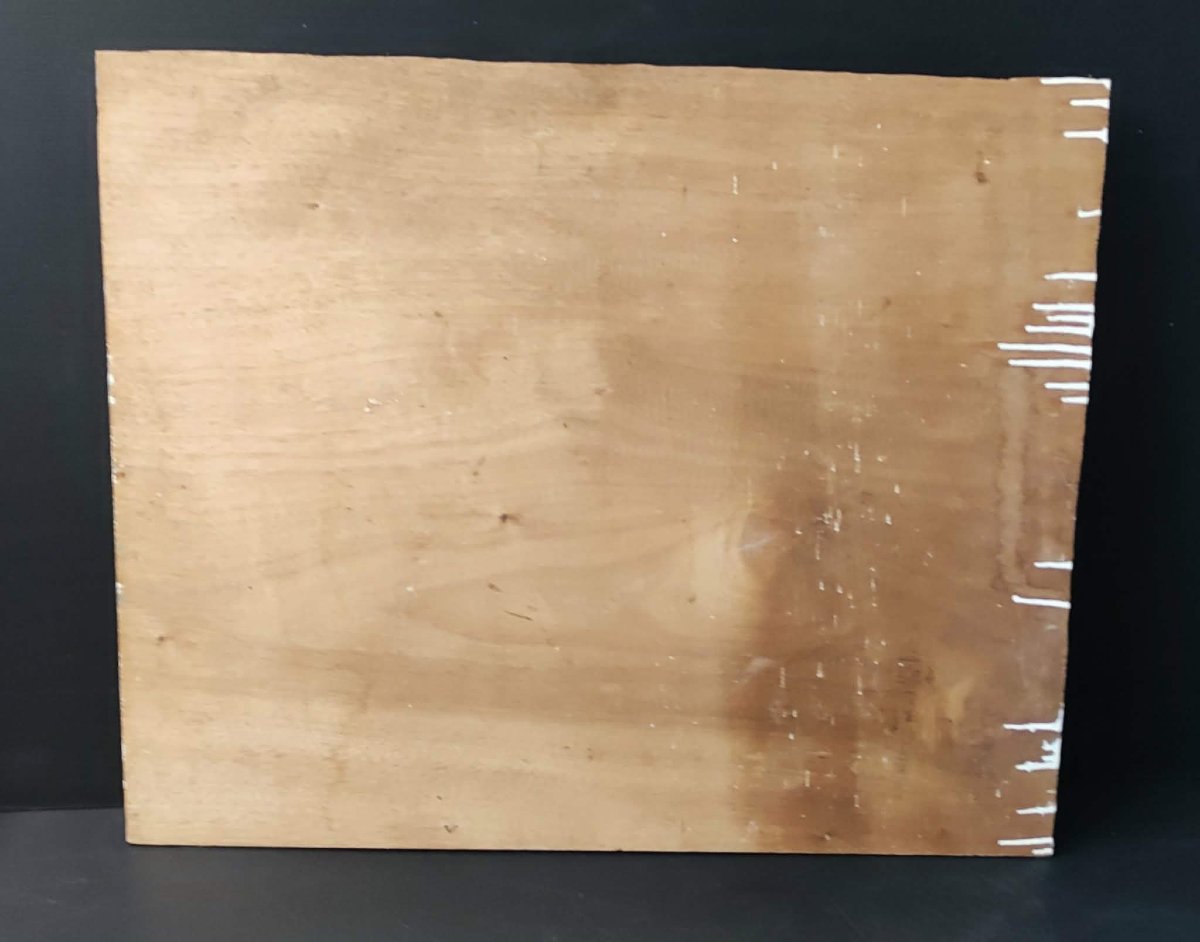 Oil Painting On Wood: Mountain Landscape, Signed "rg"-photo-1