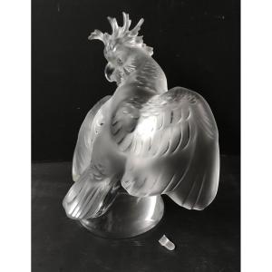 Cockatoo Statue Crystal Sign Lalique R France Height 30 Cm