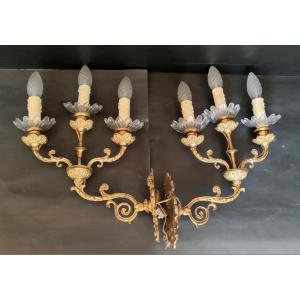 Pair Wall Lamp Torchere 6 Branches Louis XV Style Bronze And Brass Nineteenth