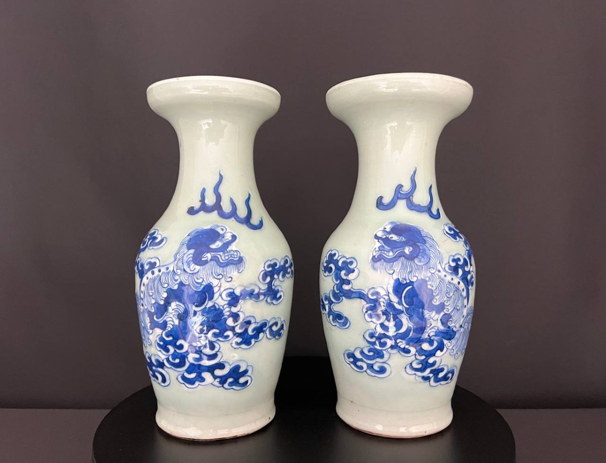 Pair Of Blue And White Porcelain Vases, Decorated With Fo Lions, China-photo-3