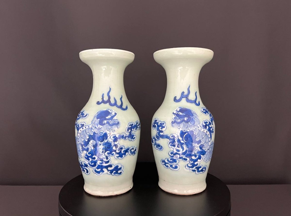 Pair Of Blue And White Porcelain Vases, Decorated With Fo Lions, China-photo-1