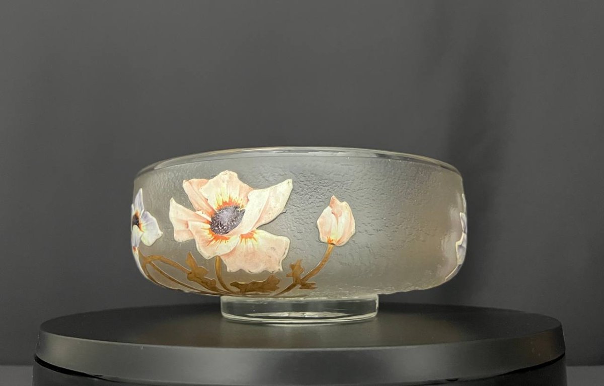 Coupe Art Nouveau en verre givré émaillé – Legras, Montjoye Saint-Denis-photo-1