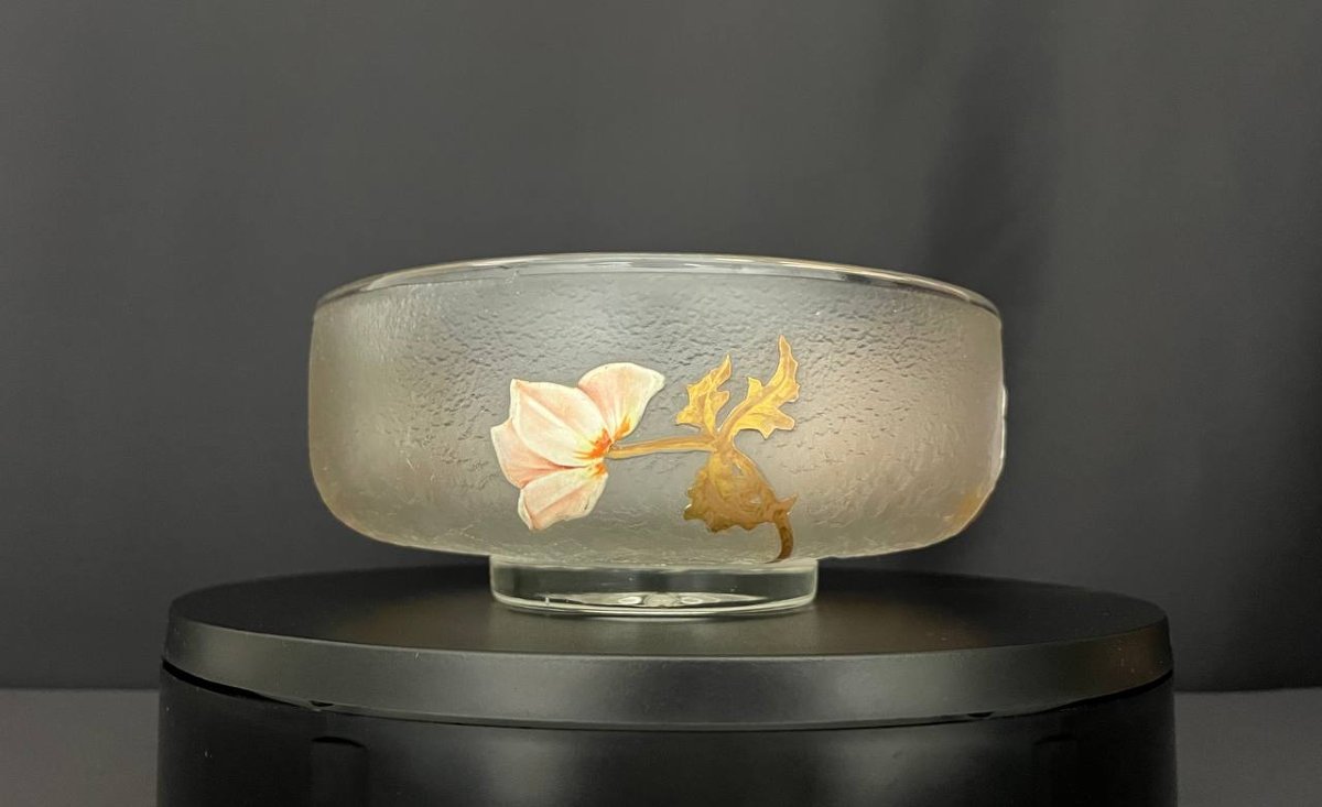 Coupe Art Nouveau en verre givré émaillé – Legras, Montjoye Saint-Denis-photo-3