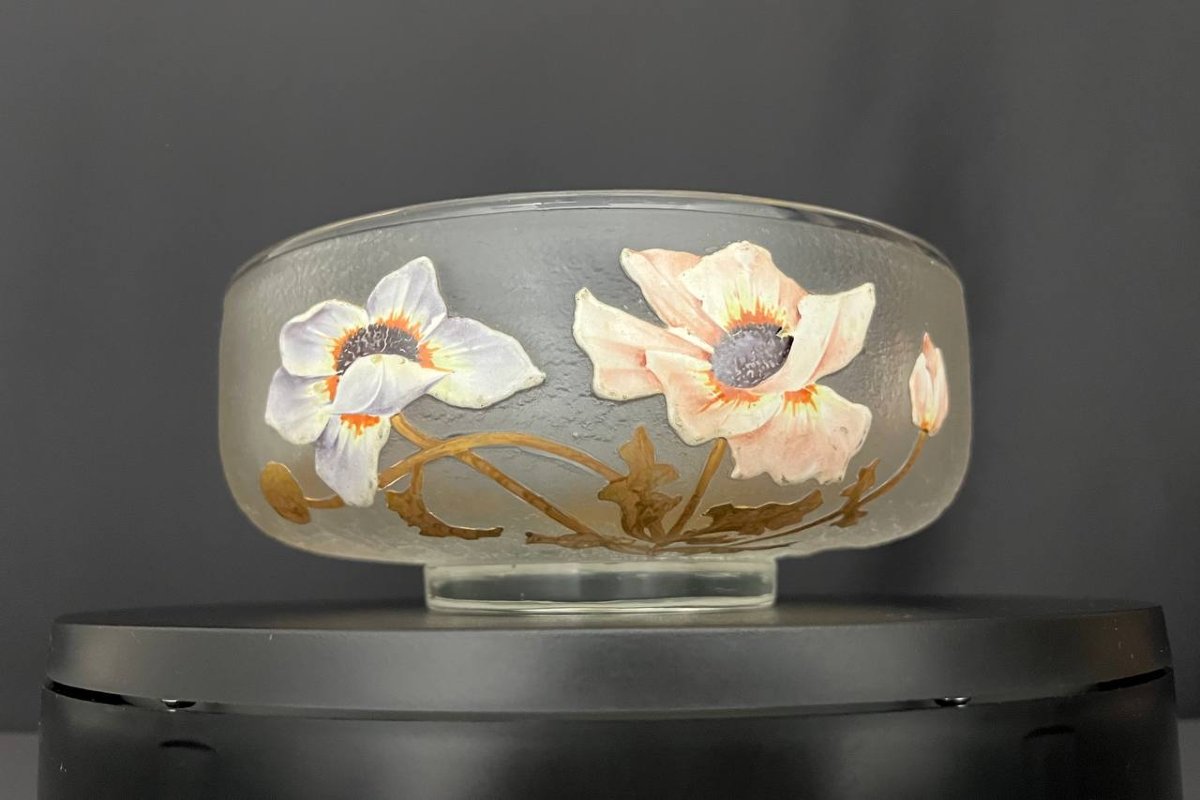 Coupe Art Nouveau en verre givré émaillé – Legras, Montjoye Saint-Denis-photo-4