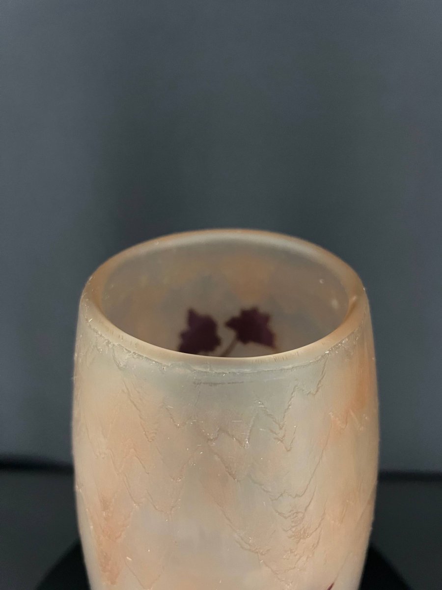 Acid-etched Multi-layered Glass Vase, Foliage Design - Signed Legras-photo-5