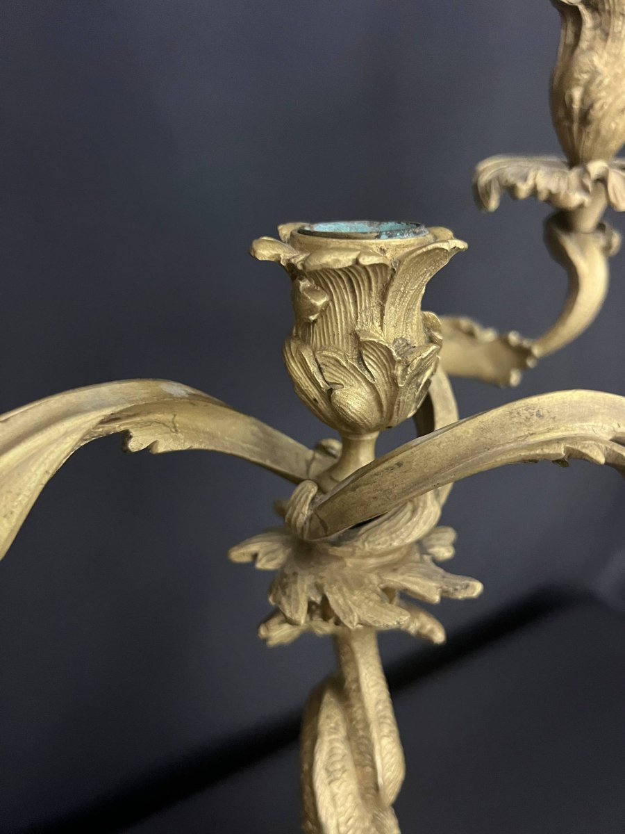 Gilded Bronze Candelabra With Dolphin Motifs, Louis XV Style-photo-1