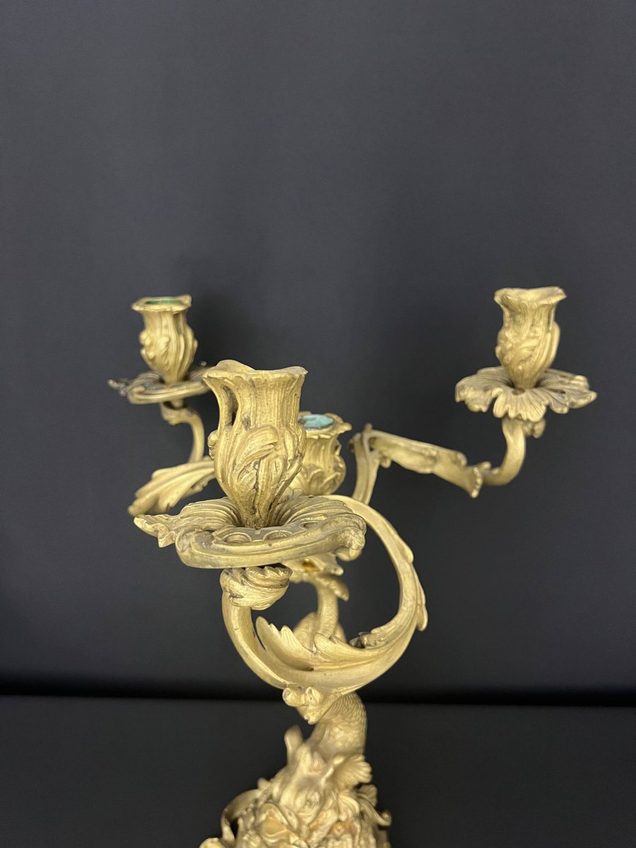 Gilded Bronze Candelabra With Dolphin Motifs, Louis XV Style-photo-2