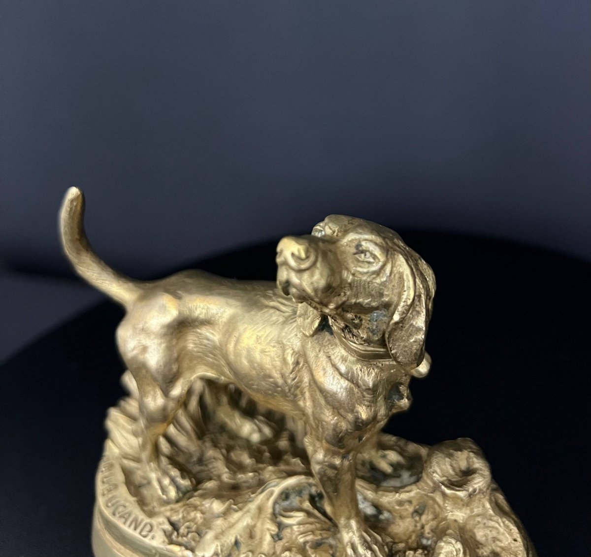 Gilded Bronze Hunting Dog Signed By Alfred Dubucand – 19th Century-photo-2