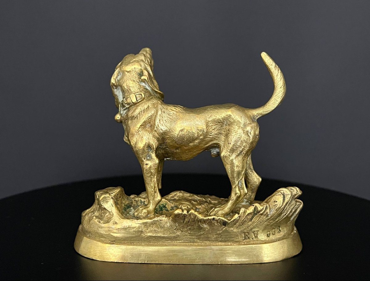 Gilded Bronze Hunting Dog Signed By Alfred Dubucand – 19th Century-photo-3