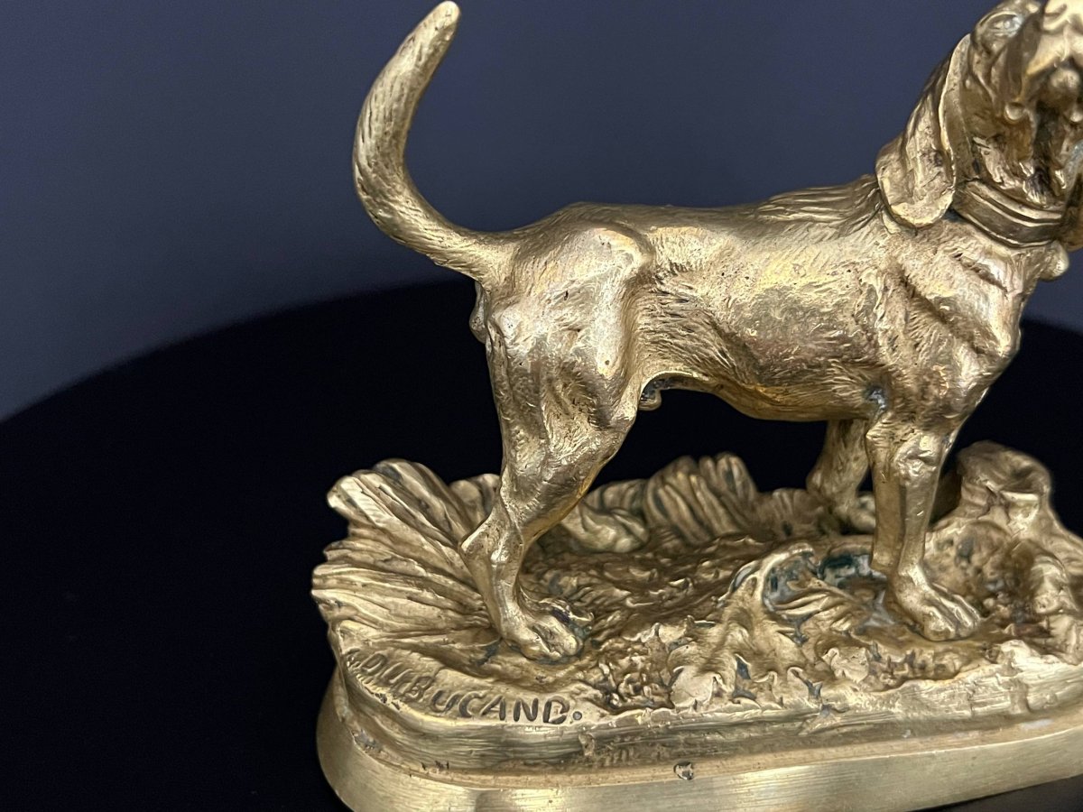 Gilded Bronze Hunting Dog Signed By Alfred Dubucand – 19th Century-photo-4