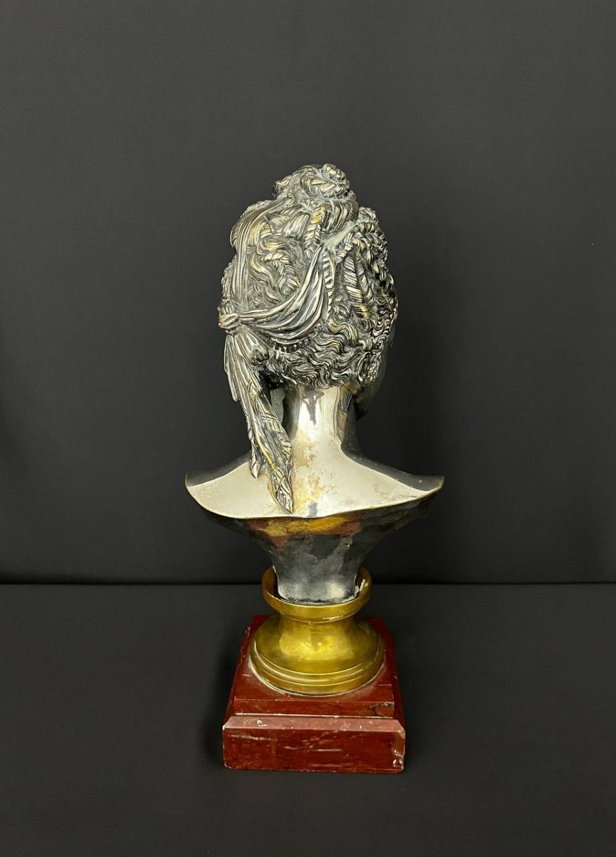Buste en bronze argenté représentant Diane de Poitiers, d’après Jean Goujon – XIXe siècle-photo-6