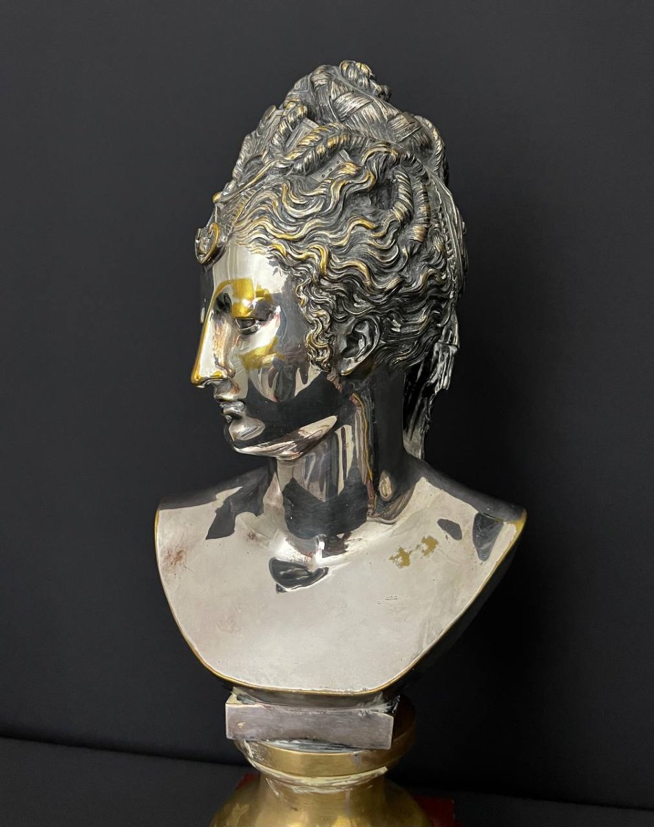 Buste en bronze argenté représentant Diane de Poitiers, d’après Jean Goujon – XIXe siècle-photo-7