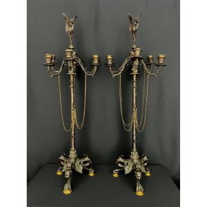 1800166-main-6a665d557c98a.jpg