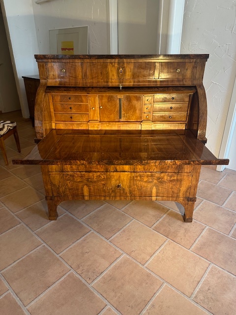 Cylinder-style Desk, Mainz, 1820-photo-4
