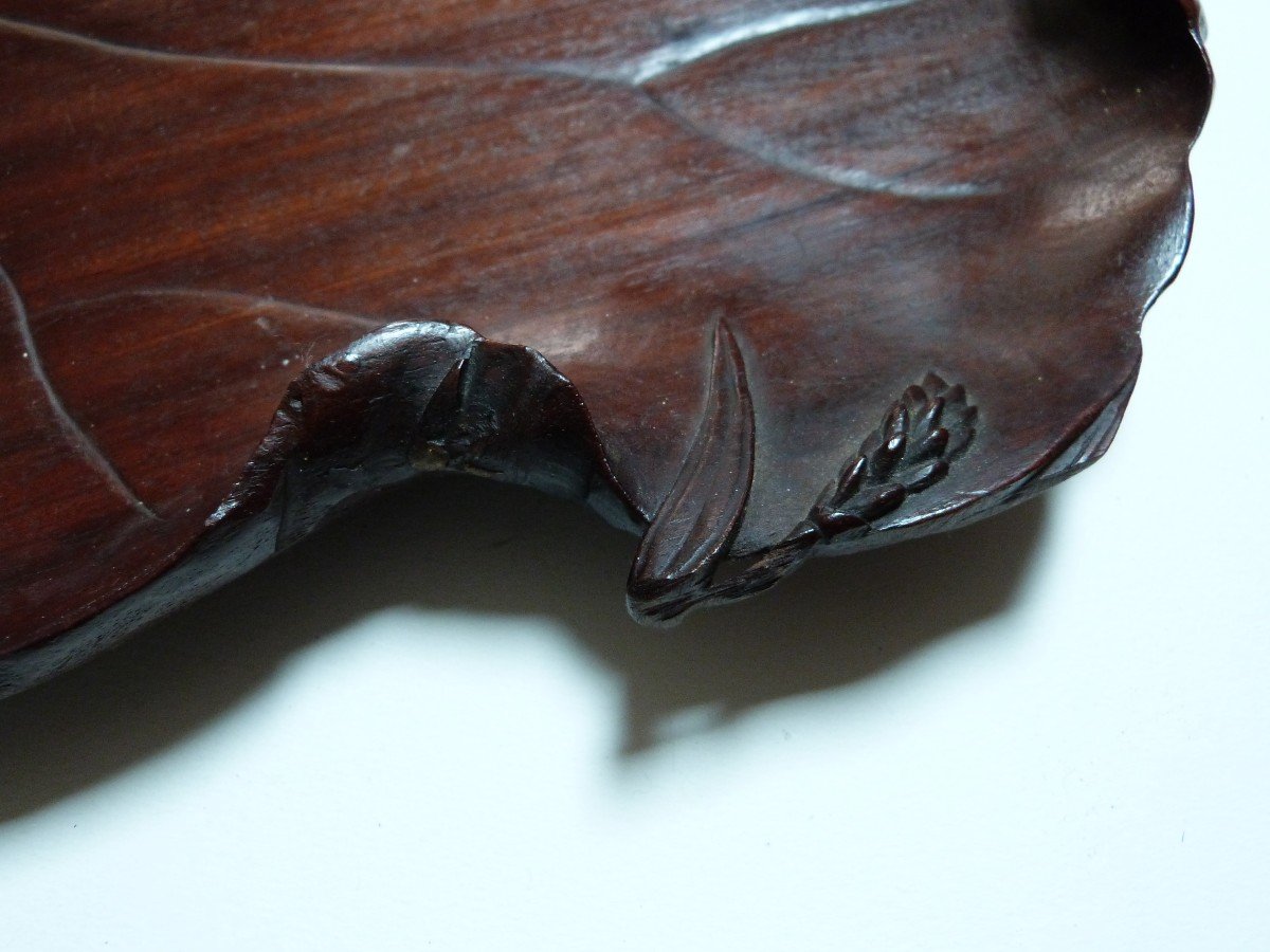 Carved Wood Tray Japan 19th Century Lotus Leaf And Frog -photo-7