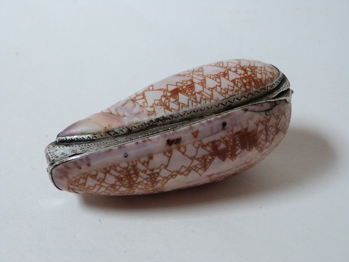 Tabatière Coquillage Et Argent Massif époque Empire Début XIXe Rare Oliva Porphyria-photo-3