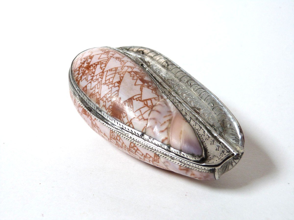 Tabatière Coquillage Et Argent Massif époque Empire Début XIXe Rare Oliva Porphyria-photo-2