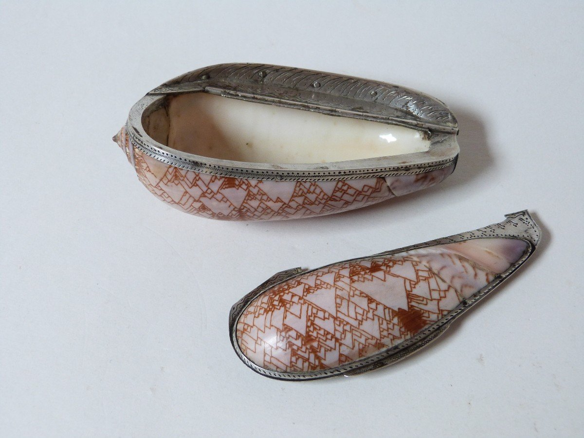 Tabatière Coquillage Et Argent Massif époque Empire Début XIXe Rare Oliva Porphyria-photo-3