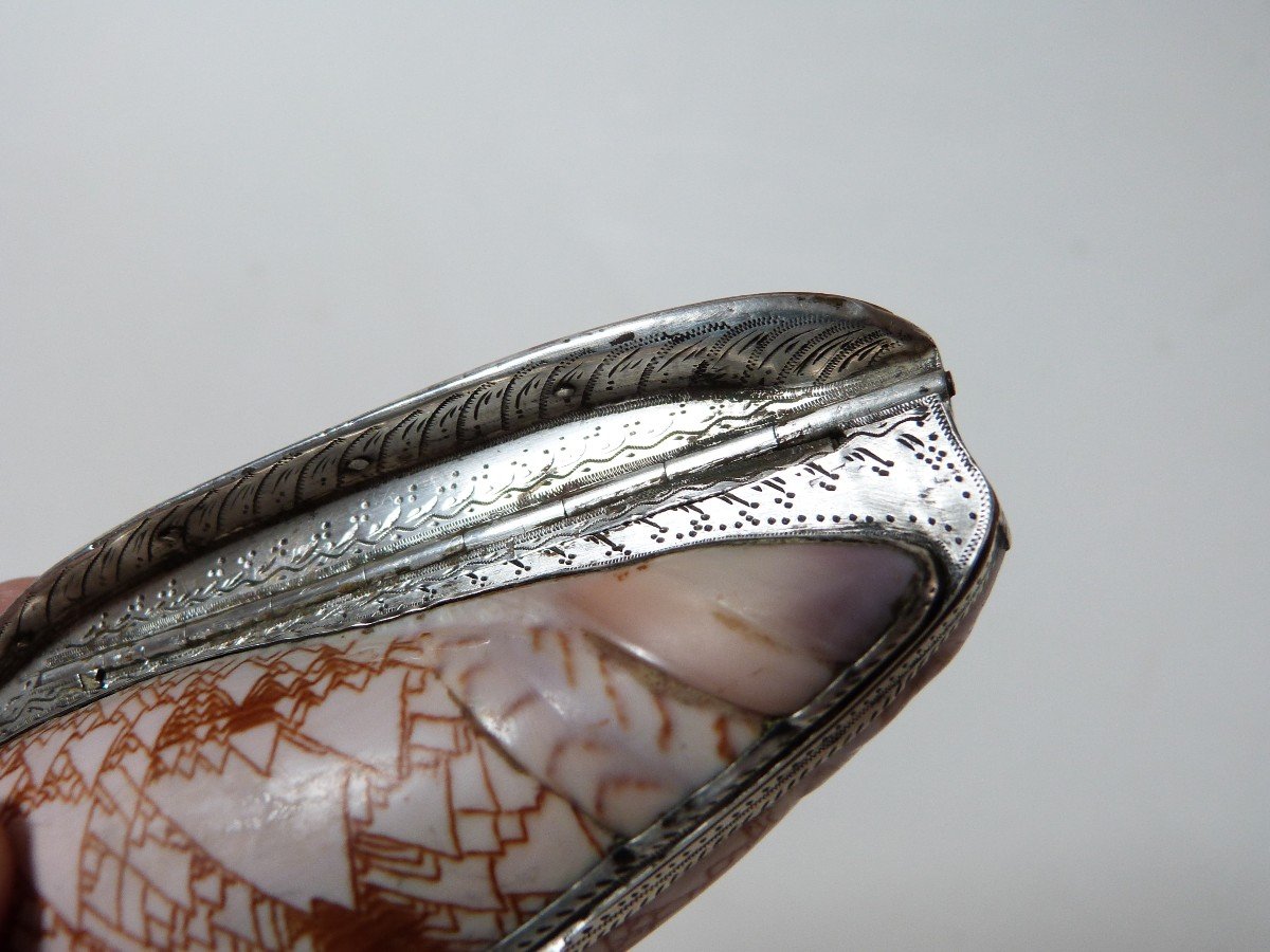 Tabatière Coquillage Et Argent Massif époque Empire Début XIXe Rare Oliva Porphyria-photo-7