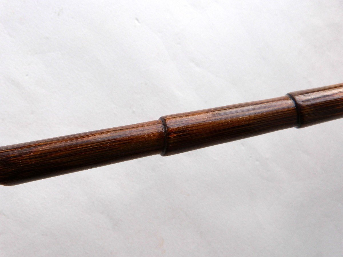 Dandy Cane With Pomponne Snake Mother-of-pearl And Palm Wood End Of The 19th Century -photo-6