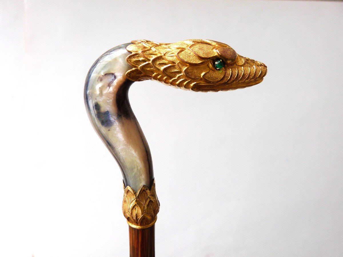 Dandy Cane With Pomponne Snake Mother-of-pearl And Palm Wood End Of The 19th Century 