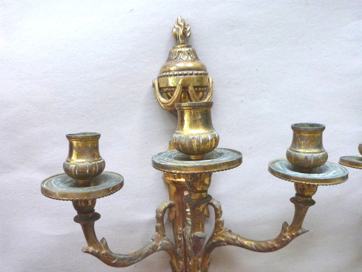 Paire d'Appliques à 3  Feux En Bronze Doré De Style Louis XVI Première Moitié XIXeme-photo-3