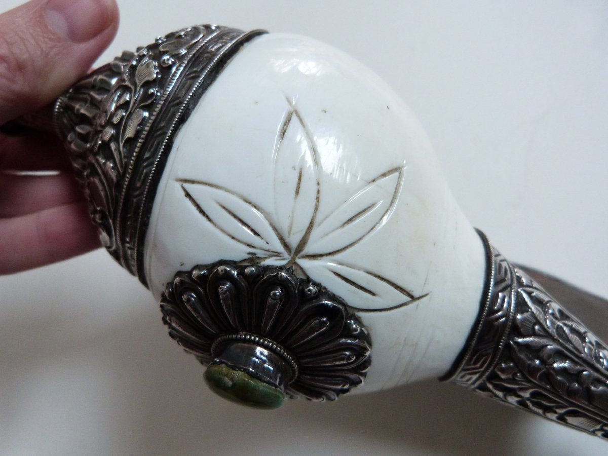 Shankha Tibetan Buddhist Conch Shell Silver Mount -photo-4