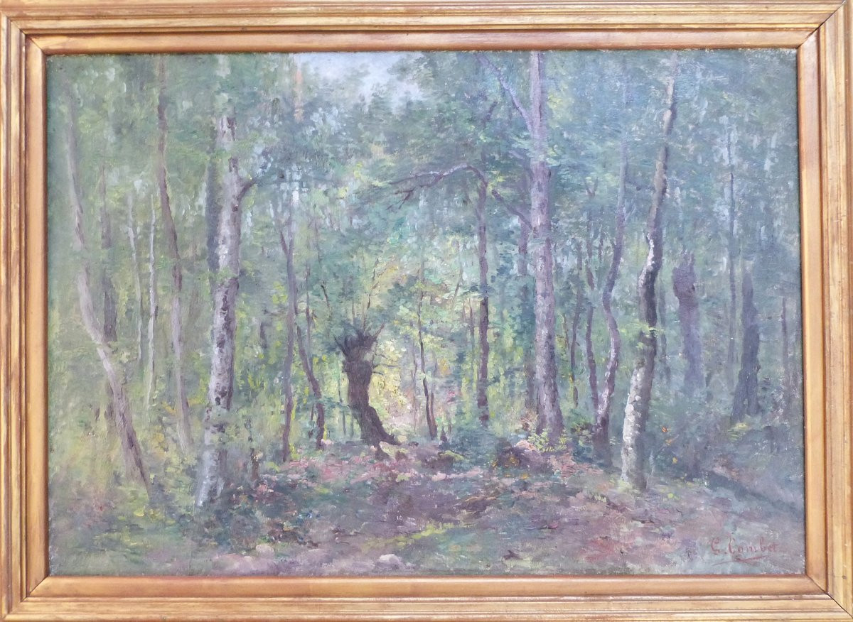 Gabriel Combet, Forest Landscape In Périgord, Dordogne, 19th Century-photo-2