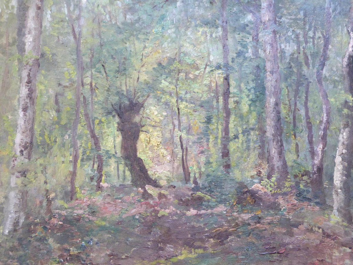 Gabriel Combet, Forest Landscape In Périgord, Dordogne, 19th Century-photo-1