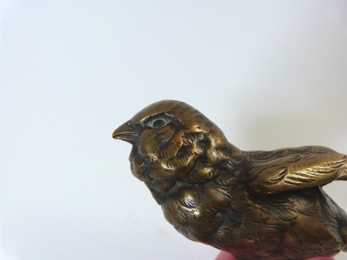 P Comoléra - Susse Brothers Bronze Animal Sparrow Paperweight-photo-2