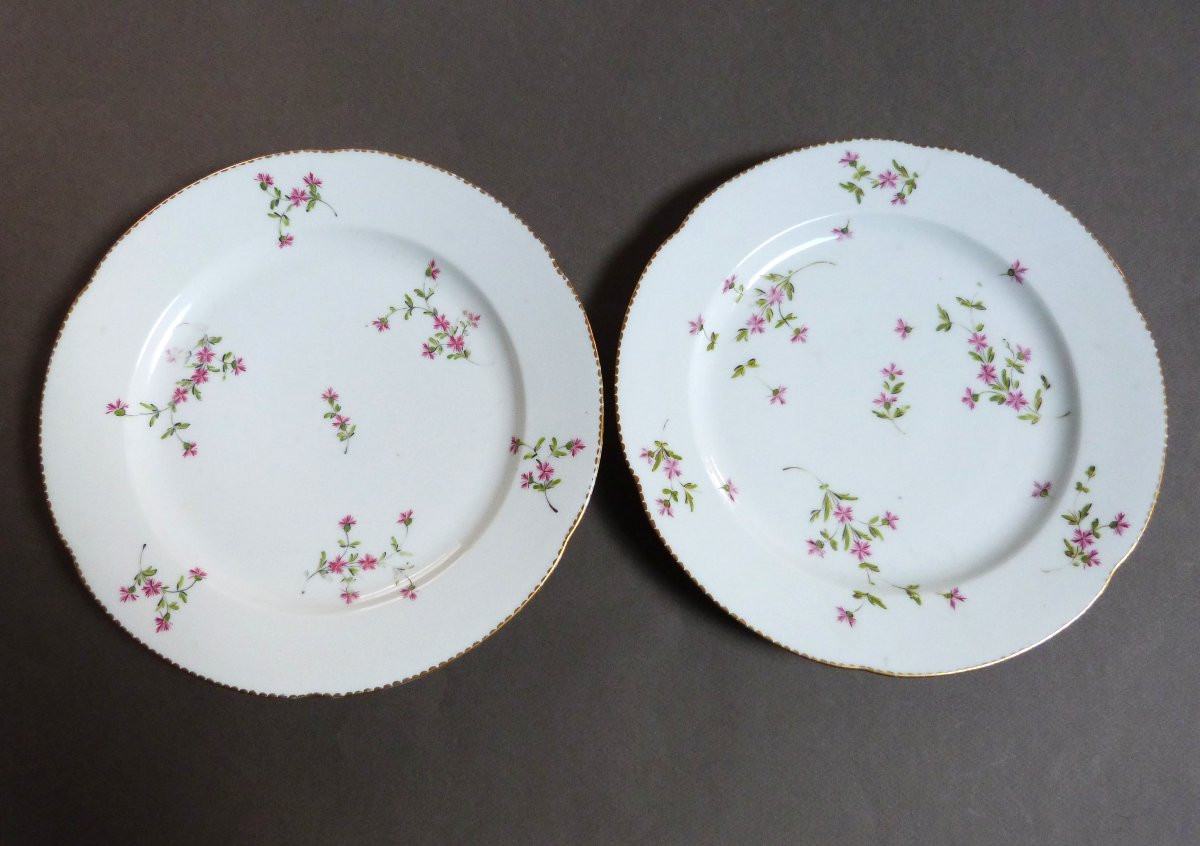 Locré Pair Of 18th Century Paris Porcelain Plates With Barbels-photo-2