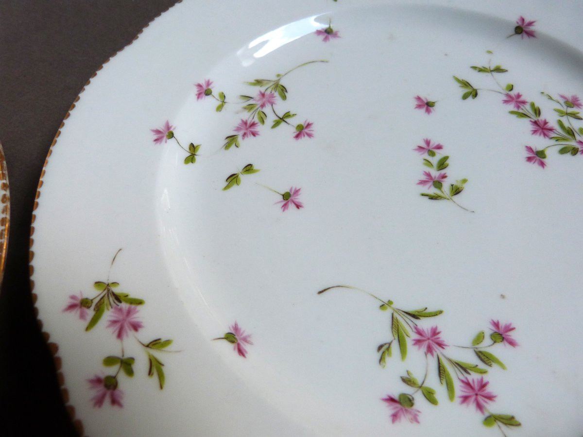 Locré Pair Of 18th Century Paris Porcelain Plates With Barbels-photo-3