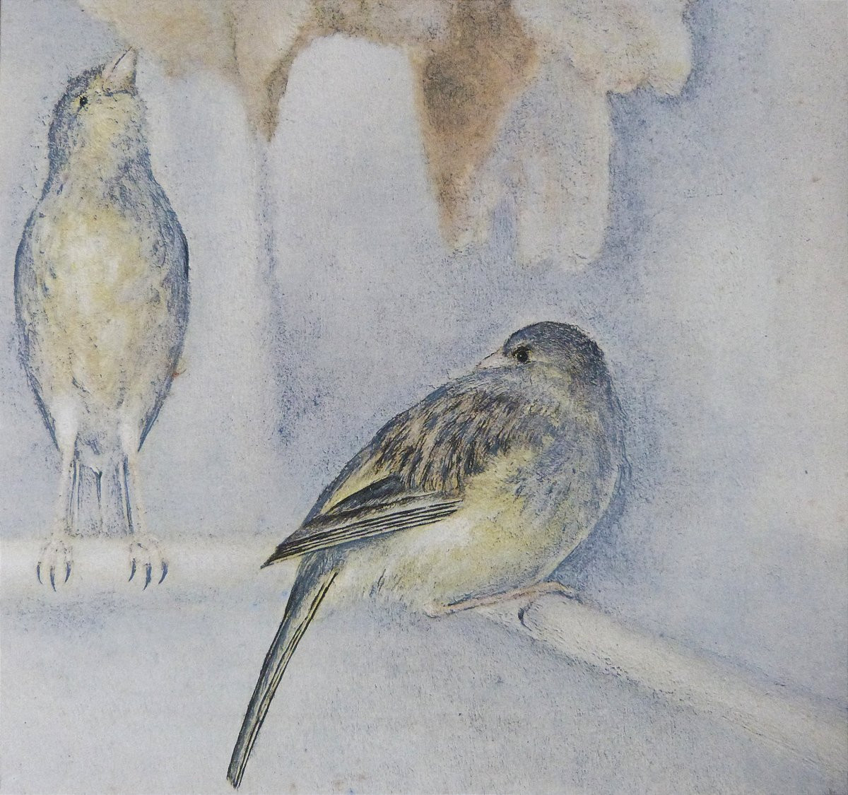 Toshio Bando Bird Print Circa 1950-photo-2