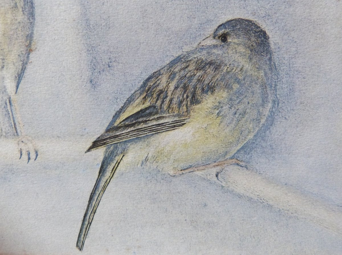 Toshio Bando Bird Print Circa 1950-photo-1