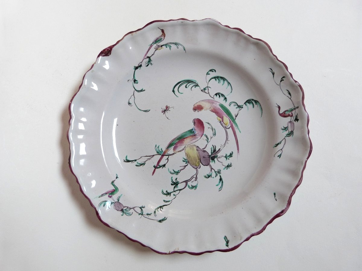 Moustiers Ferrat 18th-century Earthenware Plate With Parrot Design, Signed -photo-2