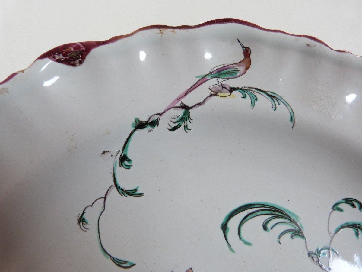 Moustiers Ferrat 18th-century Earthenware Plate With Parrot Design, Signed -photo-3
