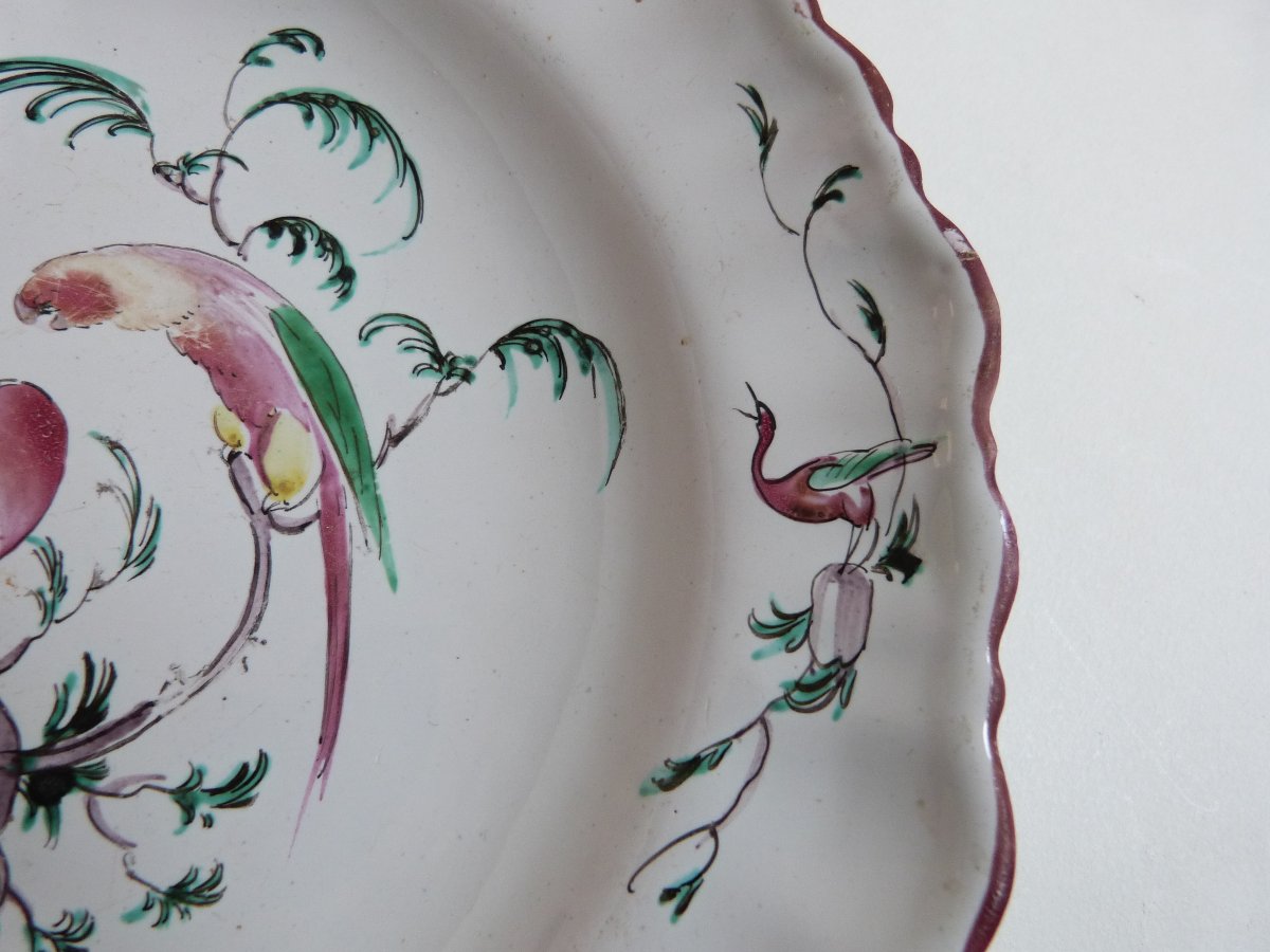 Moustiers Ferrat 18th-century Earthenware Plate With Parrot Design, Signed -photo-4