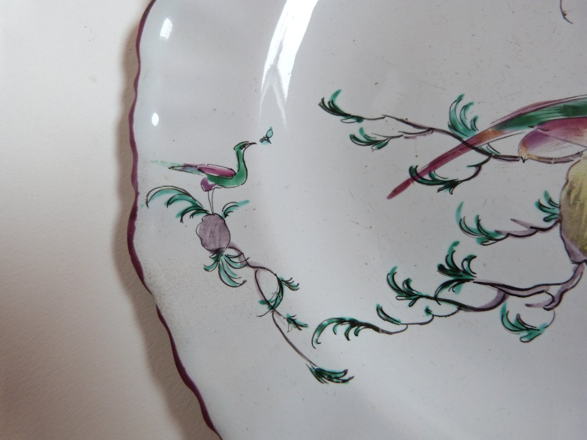 Moustiers Ferrat 18th-century Earthenware Plate With Parrot Design, Signed -photo-1