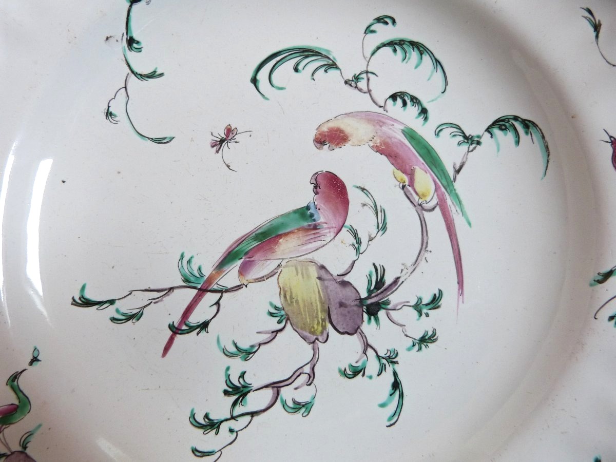 Moustiers Ferrat 18th-century Earthenware Plate With Parrot Design, Signed 