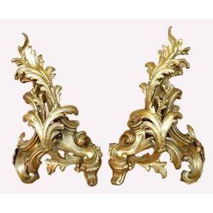 Grande paire de chenets en bronze XIXeme de style rocaille Louis XV