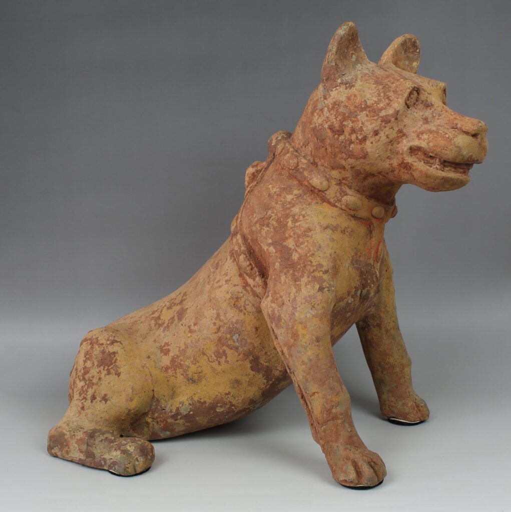 Chien Han assis — Certificat d’authenticité (TL)-photo-3