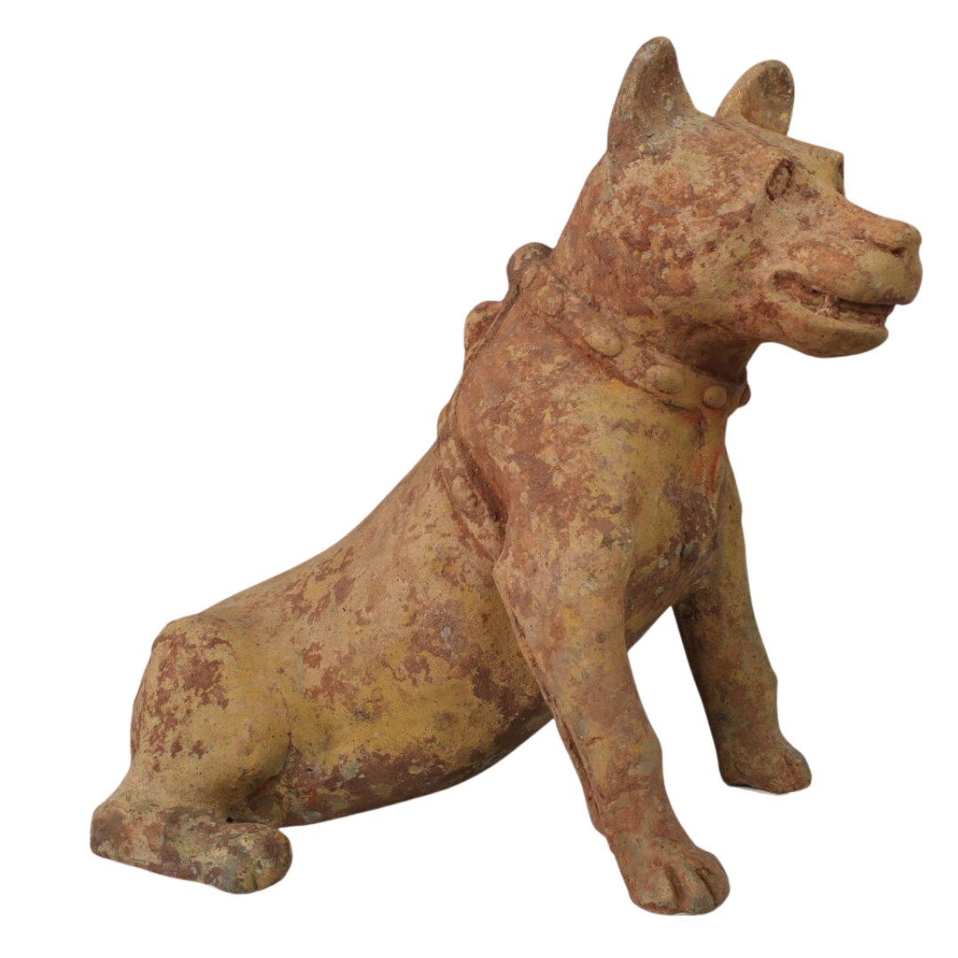 Chien Han assis — Certificat d’authenticité (TL)