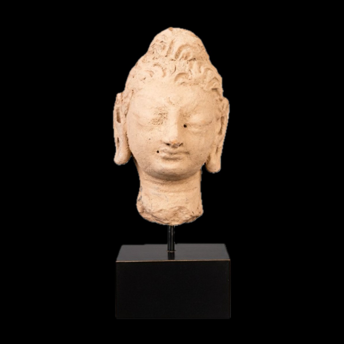 Gandharan Stucco Head Of Buddha — With Certificate Of Authenticity