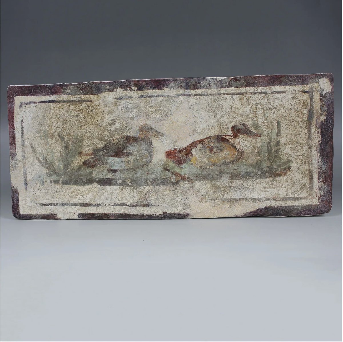 Fragment de fresque romaine aux canards – avec certificat d’authenticité-photo-2