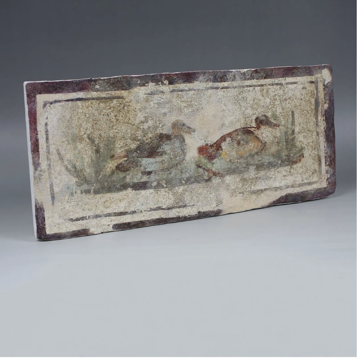 Fragment de fresque romaine aux canards – avec certificat d’authenticité-photo-4