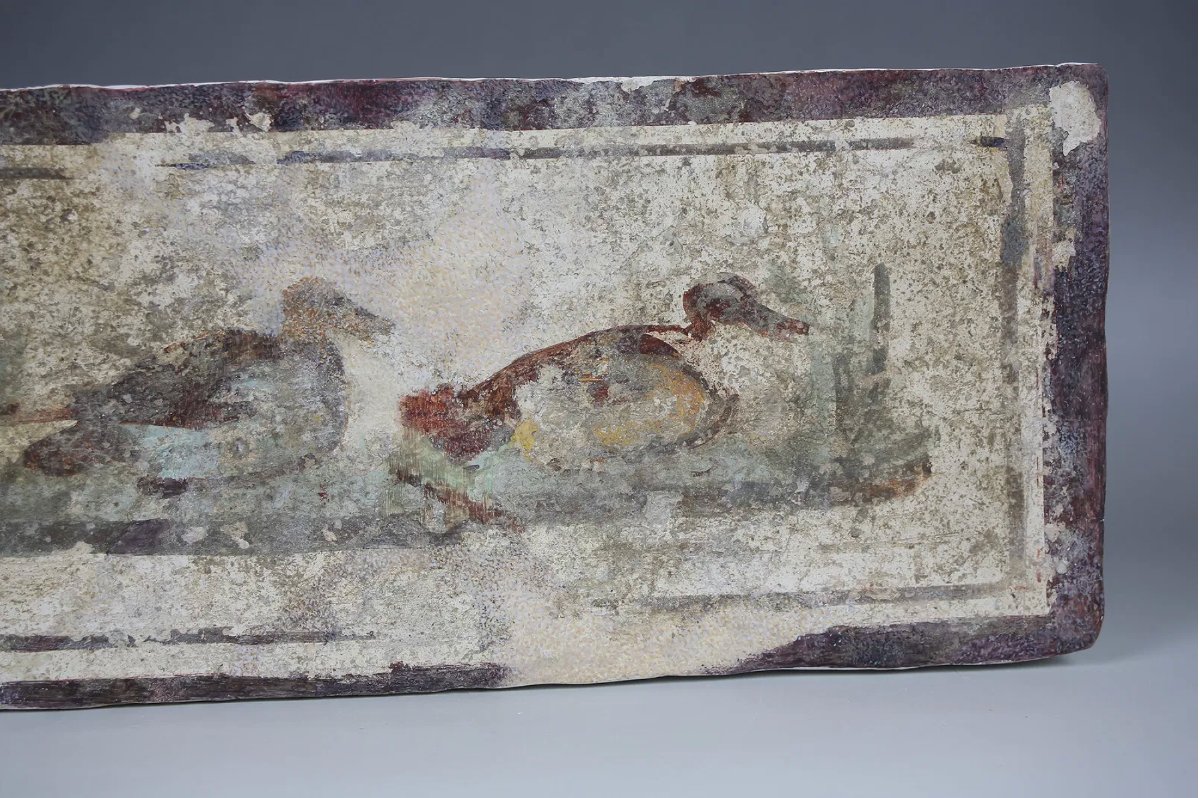 Fragment de fresque romaine aux canards – avec certificat d’authenticité-photo-3