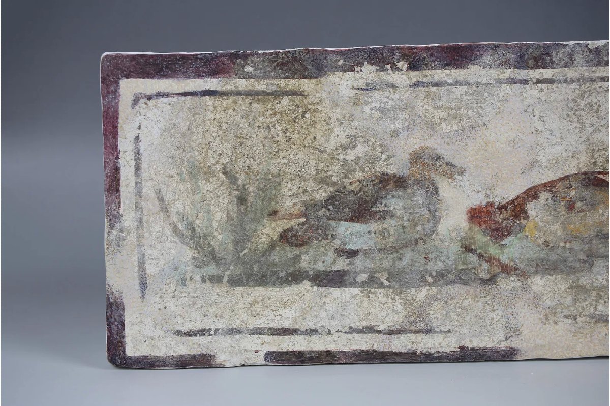 Fragment de fresque romaine aux canards – avec certificat d’authenticité-photo-4