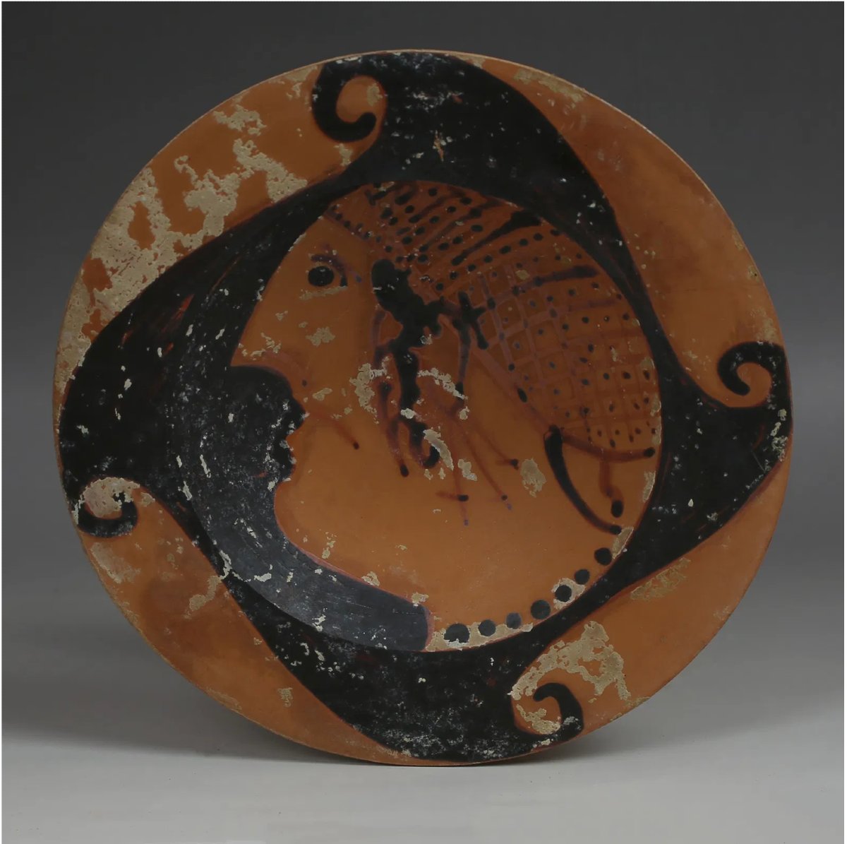 Coupe Genucilia étrusque à profil féminin (IVe s. av. J.-C.) avec Certificat d’authenticité-photo-2