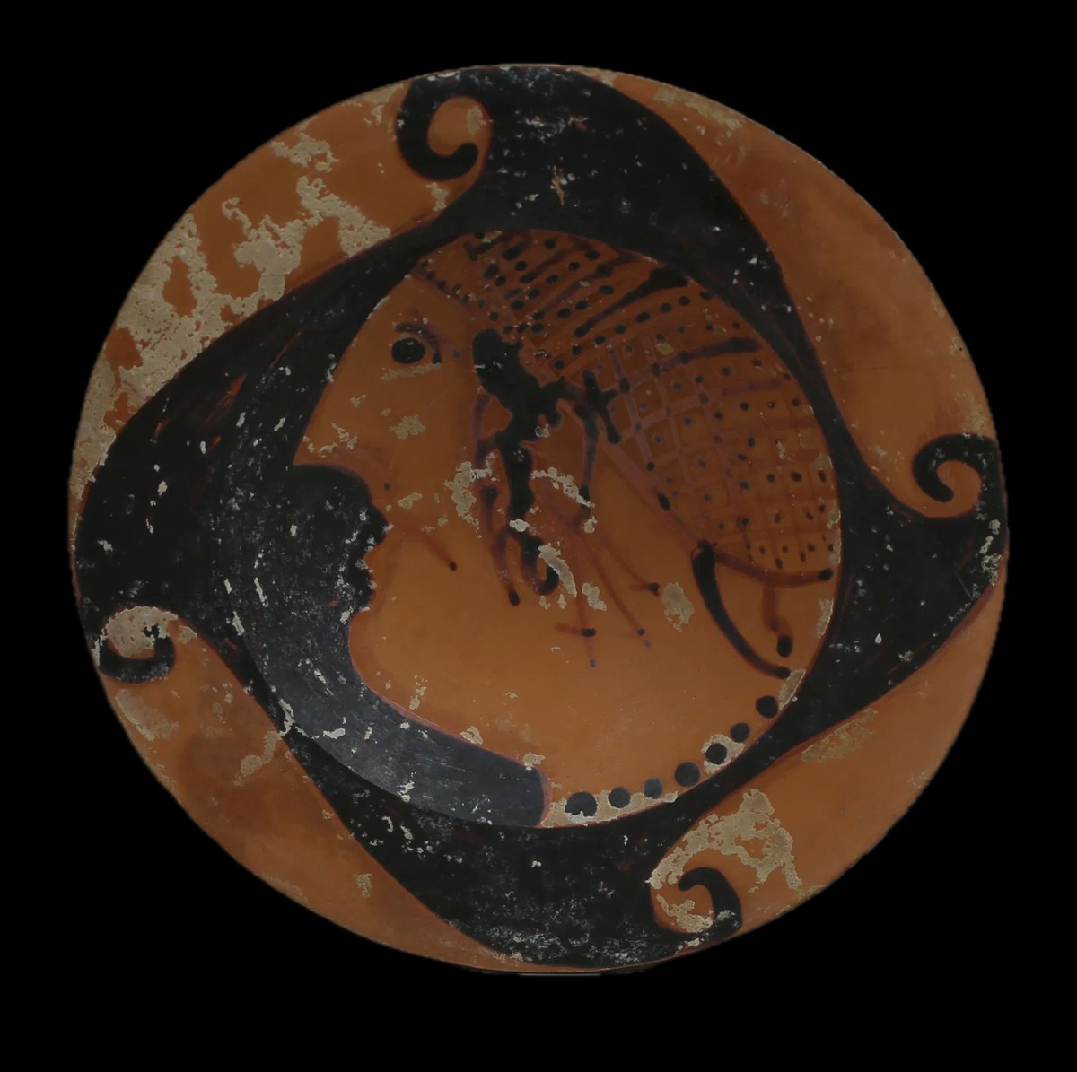 Coupe Genucilia étrusque à profil féminin (IVe s. av. J.-C.) avec Certificat d’authenticité